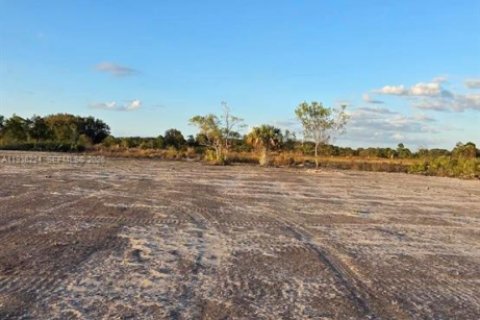 Land in Okeechobee, Florida № 2158278 - photo 8