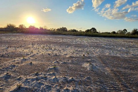 Land in Okeechobee, Florida № 2158278 - photo 13
