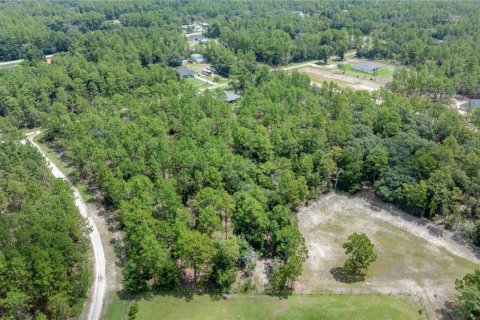 Terreno en venta en Ocala, Florida № 2103854 - foto 6