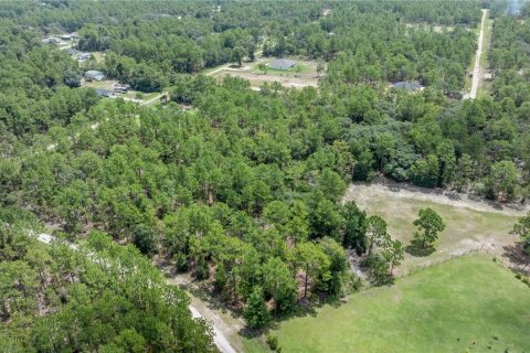 Terreno en venta en Ocala, Florida № 2103854 - foto 2