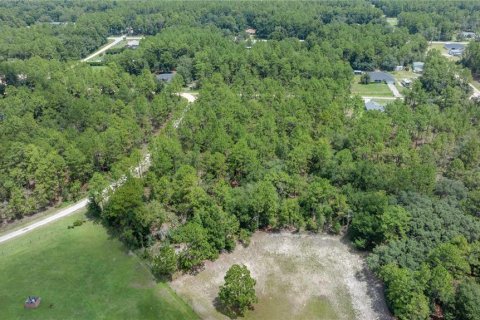Terreno en venta en Ocala, Florida № 2103854 - foto 7