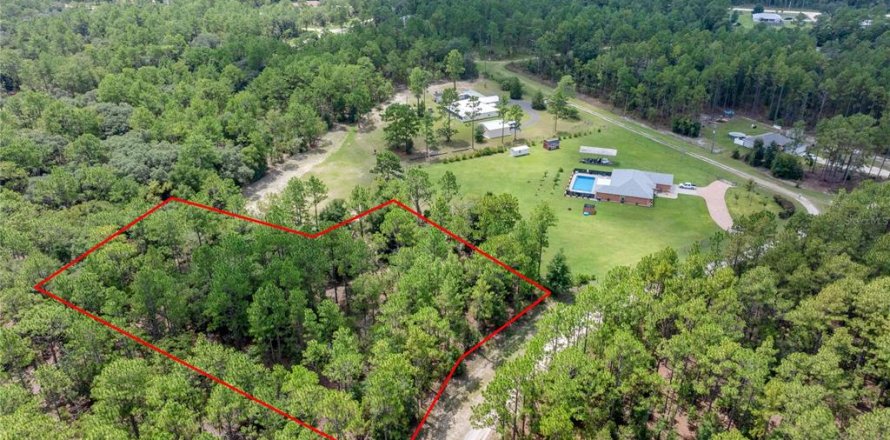 Terreno en Ocala, Florida № 2103854