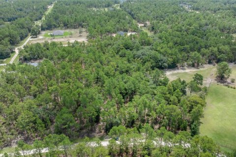 Terreno en venta en Ocala, Florida № 2103854 - foto 5