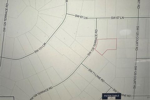 Terreno en venta en Ocala, Florida № 2103854 - foto 4