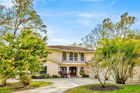 Villa ou maison à vendre à Tampa, Floride: 5 chambres, 311.22 m2 № 1537921 - photo 4