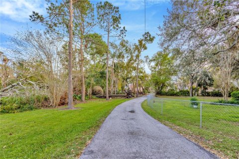 Villa ou maison à vendre à Tampa, Floride: 5 chambres, 311.22 m2 № 1537921 - photo 3