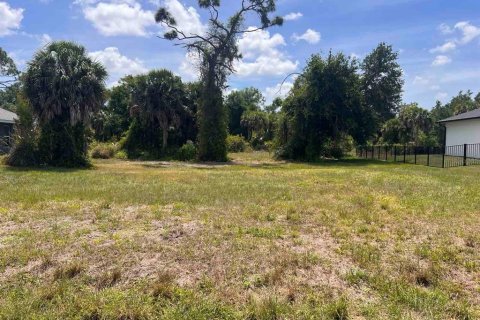 Land in Rotonda, Florida № 2159678 - photo 2