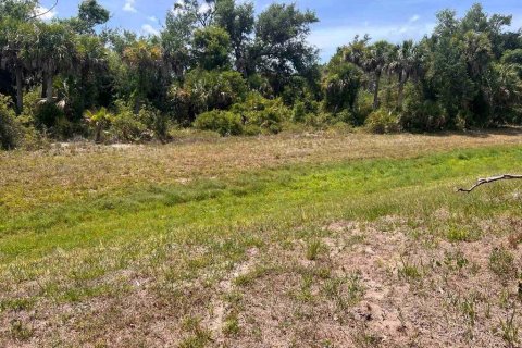 Land in Rotonda, Florida № 2159678 - photo 3