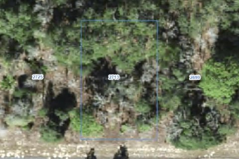 Land in Citrus Springs, Florida № 2388276