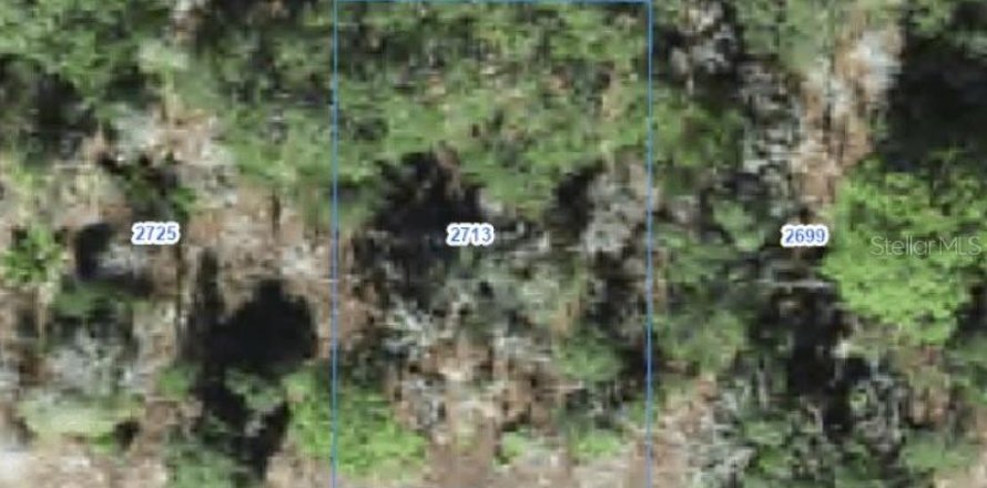 Land in Citrus Springs, Florida № 2388276