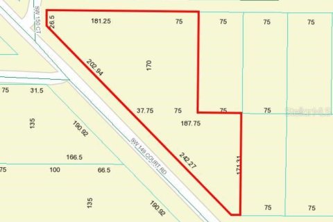 Land in Ocala, Florida № 1570676 - photo 2