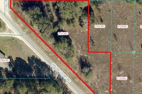 Land in Ocala, Florida № 1570676 - photo 1
