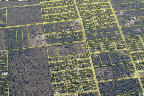 Land in Weeki Wachee, Florida № 2162317 - photo 7