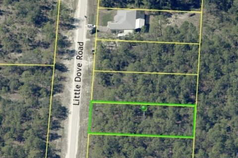 Land in Weeki Wachee, Florida № 2162317 - photo 5