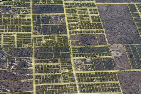 Land in Weeki Wachee, Florida № 2162317 - photo 8
