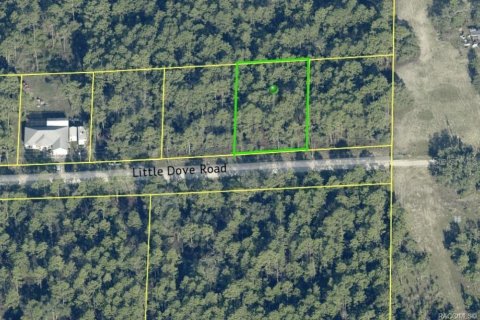 Land in Weeki Wachee, Florida № 2162317 - photo 4