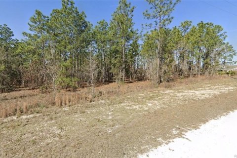 Land in Weeki Wachee, Florida № 2162317 - photo 3