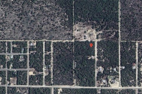 Land in Weeki Wachee, Florida № 2162317 - photo 6