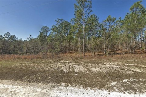 Land in Weeki Wachee, Florida № 2162317 - photo 2