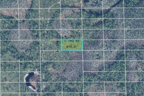 Land in Orlando, Florida № 2218735 - photo 2