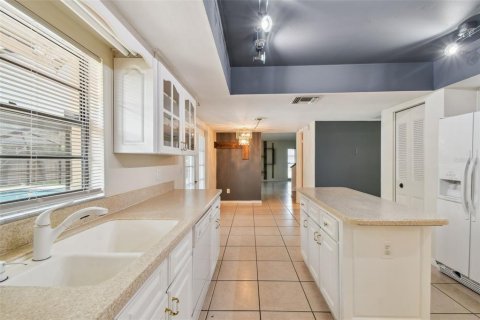 House in Tampa, Florida 4 bedrooms, 217.11 sq.m. № 1848603 - photo 13