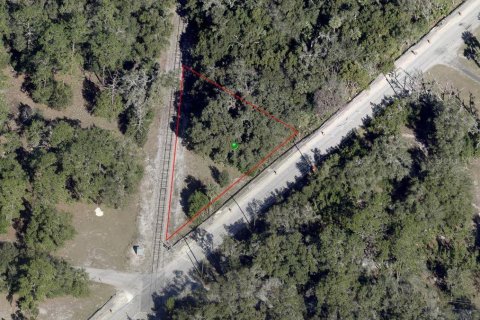 Land in DeLand, Florida № 2161536