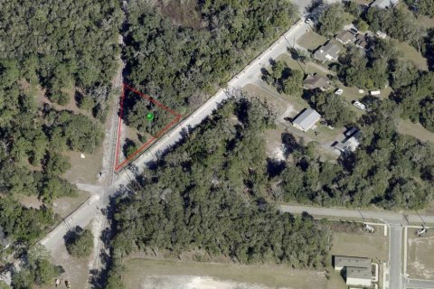 Land in DeLand, Florida № 2161536 - photo 2