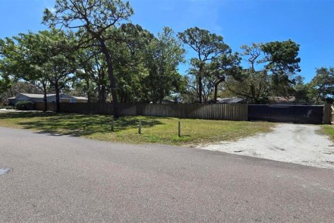 Terreno en venta en Seminole, Florida № 1622436 - foto 12
