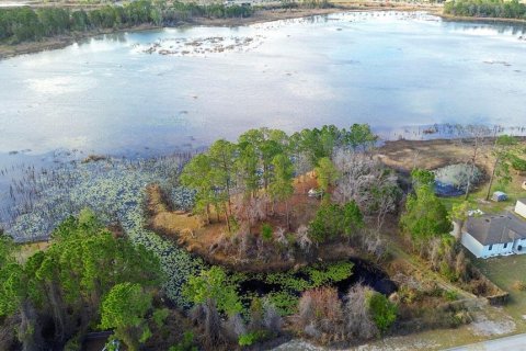 Land in Deltona, Florida № 2159324 - photo 5