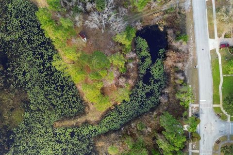 Land in Deltona, Florida № 2159324 - photo 12