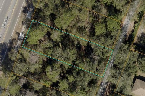 Land in Deltona, Florida № 2394136