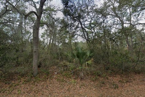 Land in Deltona, Florida № 2394136 - photo 4