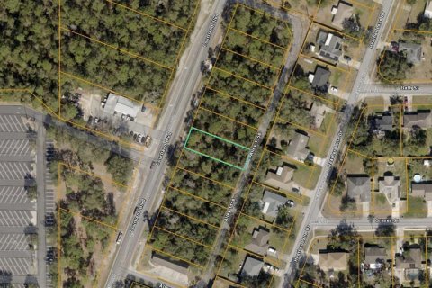 Land in Deltona, Florida № 2394136 - photo 3