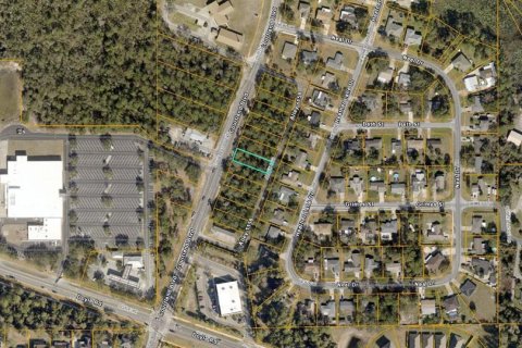 Land in Deltona, Florida № 2394136 - photo 2