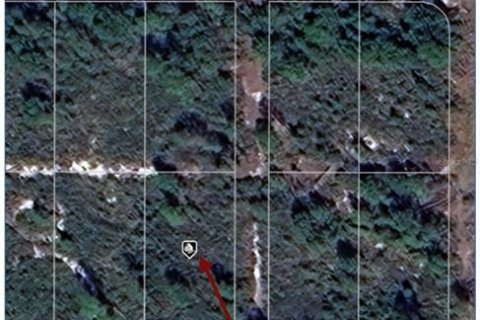 Land in Sebring, Florida № 2214120