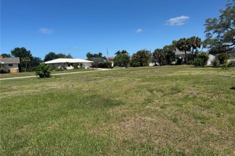 Terrain à vendre à Nokomis, Floride № 2098874 - photo 4