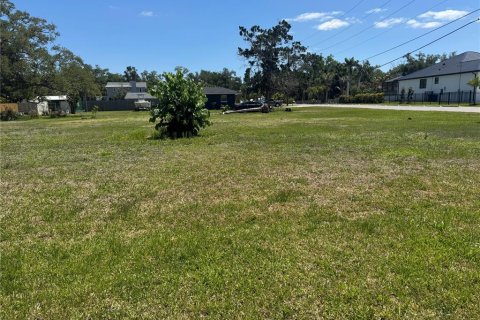 Terrain à Nokomis, Floride № 2098874