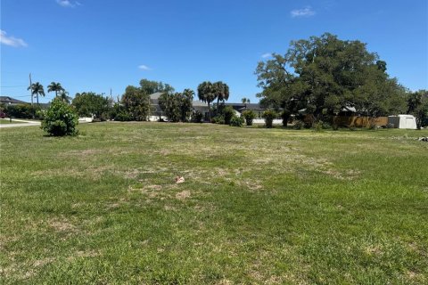 Terrain à vendre à Nokomis, Floride № 2098874 - photo 2
