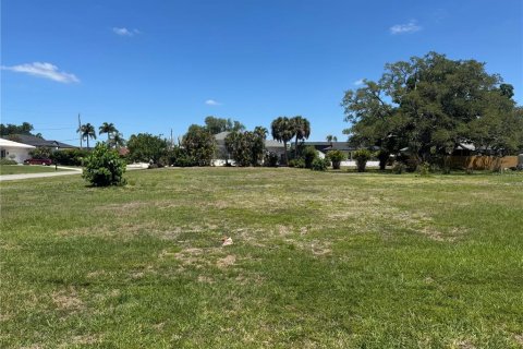 Terrain à vendre à Nokomis, Floride № 2098874 - photo 3