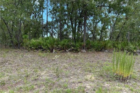 Terreno en Citrus Springs, Florida № 2164434