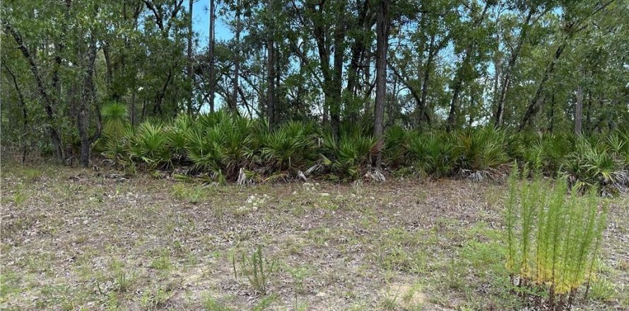 Land in Citrus Springs, Florida № 2164434