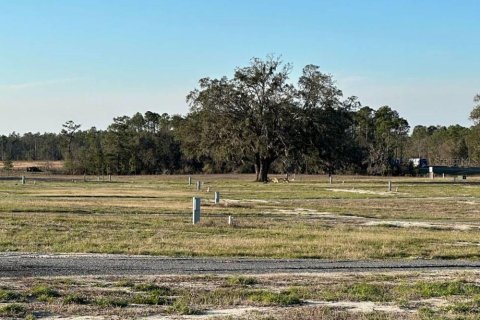 Propiedad comercial en venta en Live Oak, Florida, 251.95 m2 № 2166201 - foto 3
