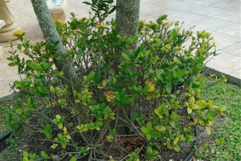 Condominio en alquiler en Coral Springs, Florida, 2 dormitorios, 83.61 m2 № 1965830 - foto 19