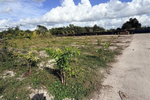 Immobilier commercial à vendre à Southwest Ranches, Floride № 2171095 - photo 6