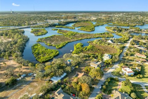 Снять в аренду виллу или дом в Тарпон-Спрингс, Флорида 1 комната, 283.07м2, № 1914025 - фото 23