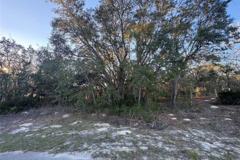 Terreno en venta en Ocala, Florida № 2213825 - foto 3