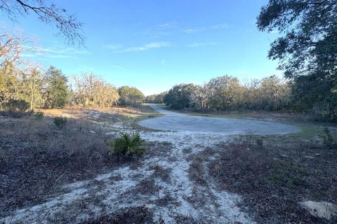 Terreno en venta en Ocala, Florida № 2213825 - foto 2