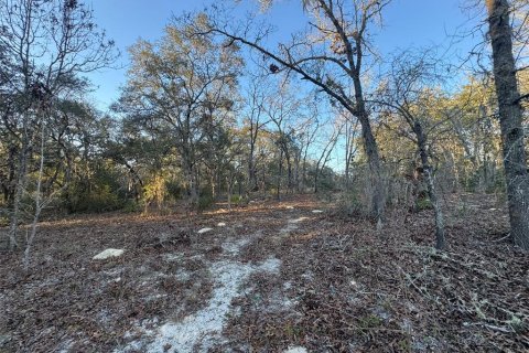 Terreno en venta en Ocala, Florida № 2213825 - foto 4