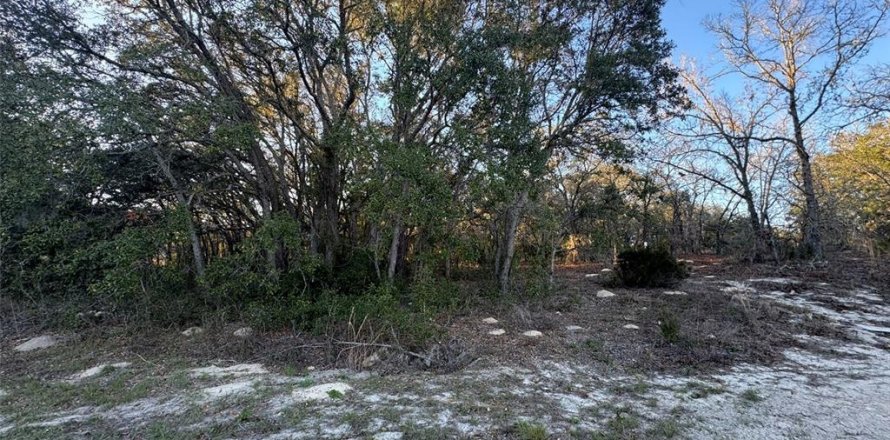 Terreno en Ocala, Florida № 2213825