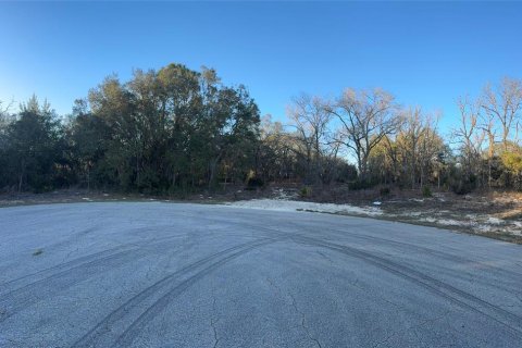 Terreno en venta en Ocala, Florida № 2213825 - foto 5